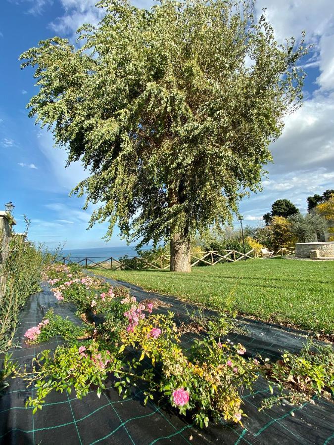 Residenza B&B Vistamare Petacciato Extérieur photo